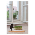 Kresseschale „Smart’n’Green“ aus Holz mit Porzellanschale – Figur Gärtner