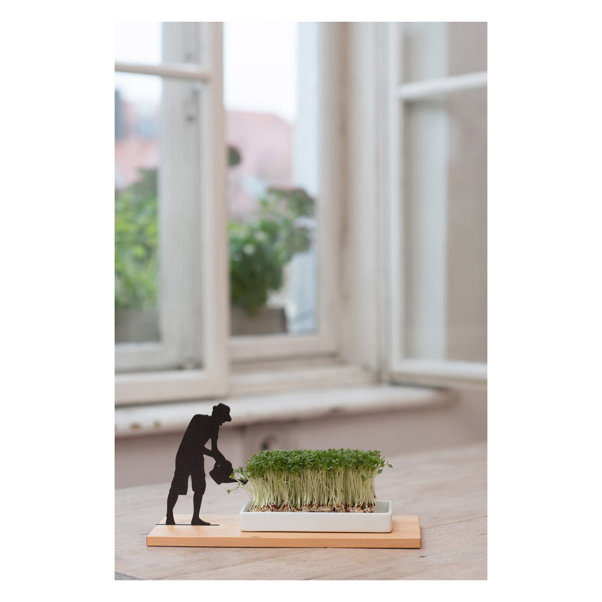 Kresseschale „Smart’n’Green“ aus Holz mit Porzellanschale – Figur Gärtner