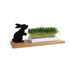 Kresseschale „Smart’n’Green“ aus Holz mit Porzellanschale – Motiv Hase