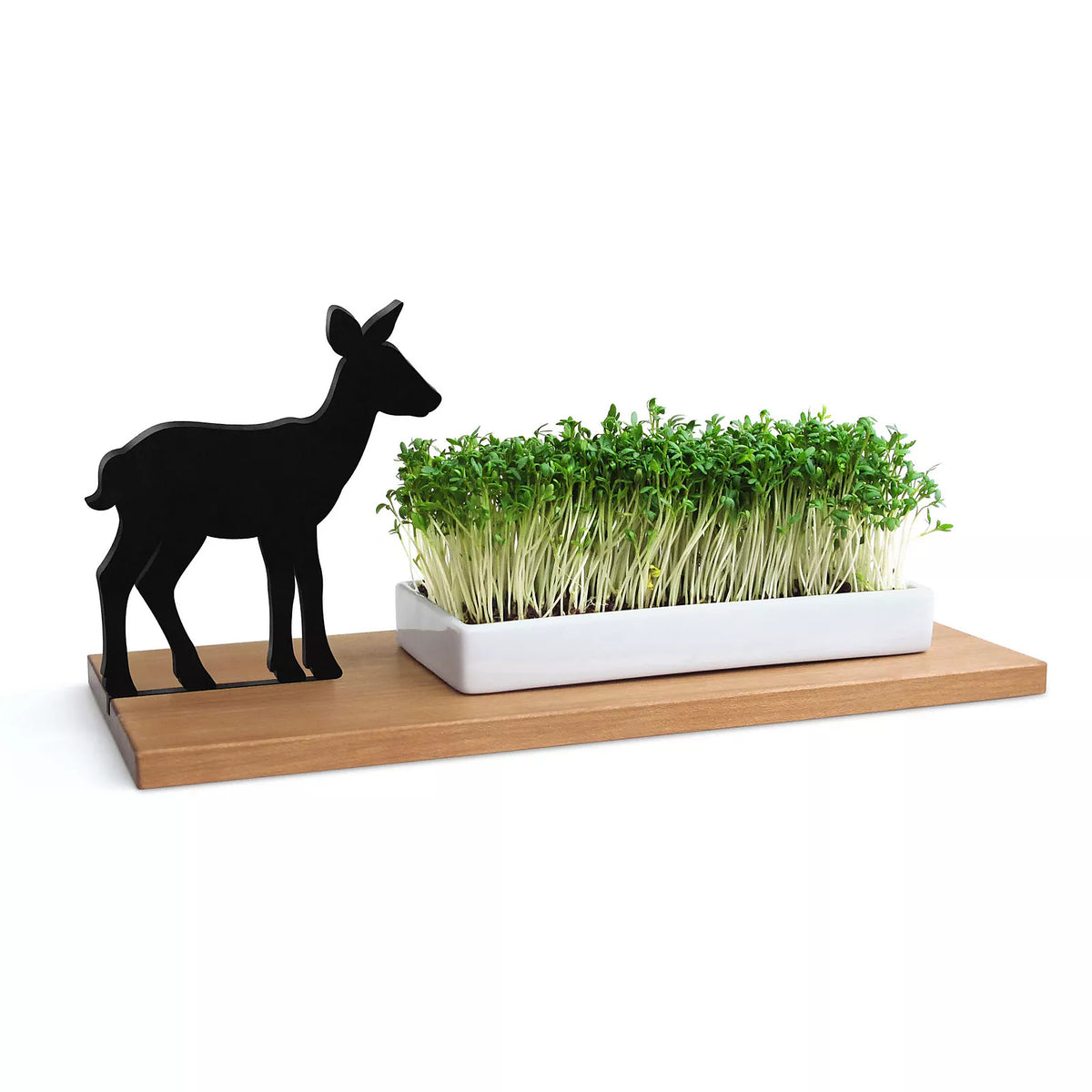 Kresseschale „Smart’n’Green“ aus Holz mit Porzellanschale und Reh