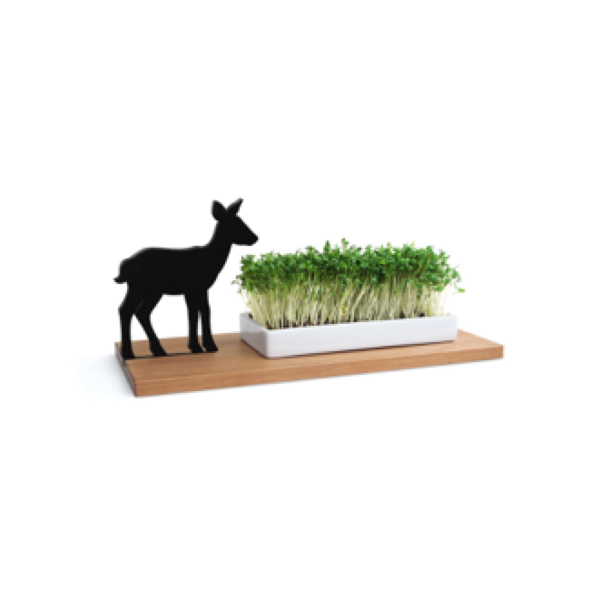 Kresseschale „Smart’n’Green“ aus Holz mit Porzellanschale – Motiv Reh