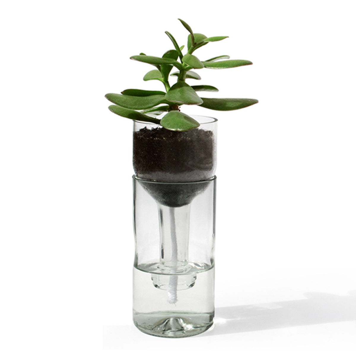 Selbstbewässerungsflasche für Pflanzen aus Glas und Holz