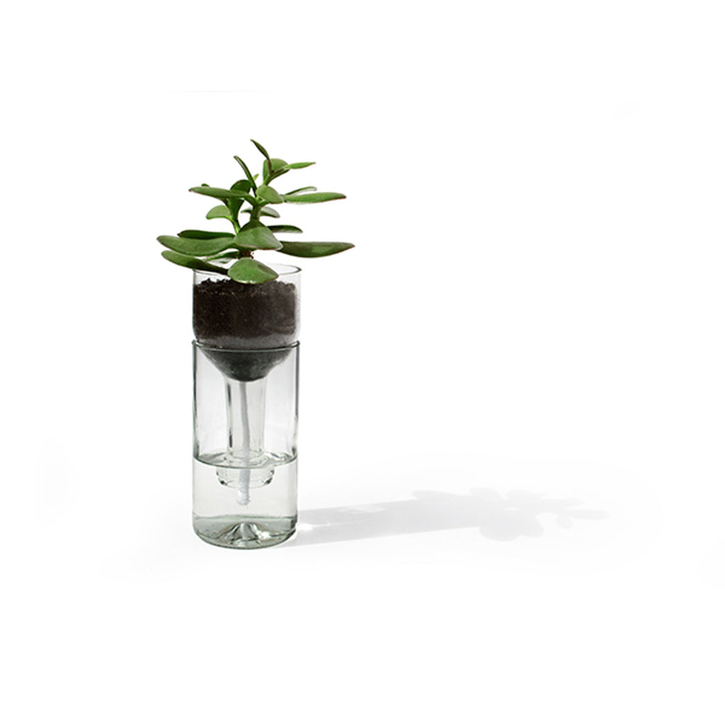 Selbstbewässerungsflasche für Pflanzen aus Glas und Holz