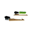 Kresseschale „Smart’n’Green“ aus Holz mit Porzellanschale Motiv Schwein