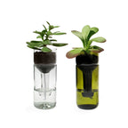 Selbstbewässerungsflasche für Pflanzen Glas grün aus Glas und Holz
