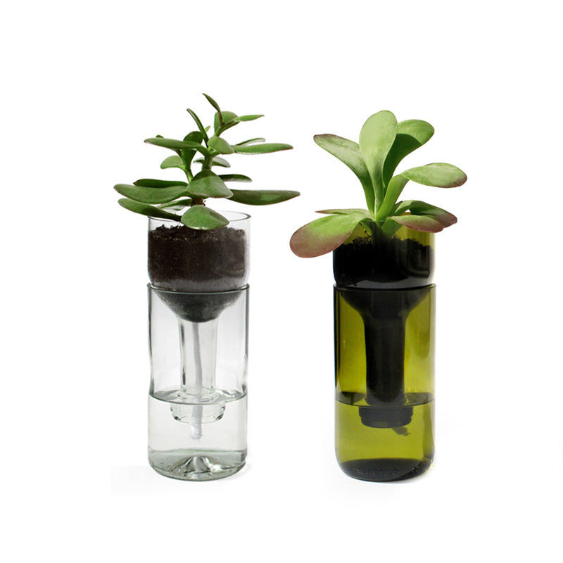 Selbstbewässerungsflasche für Pflanzen Glas grün aus Glas und Holz